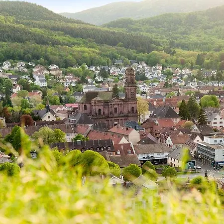 The Originals City, De L'ange, Colmar Sud Hotel 3*