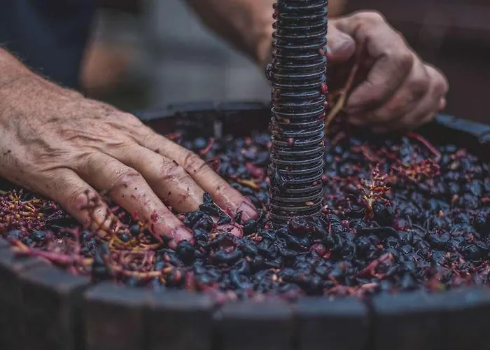 Hotel The Originals De L Ange 3*